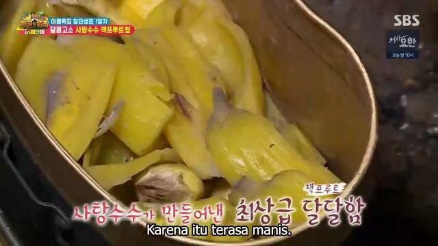 LotJungle.E374.360p.myanmar pentagon