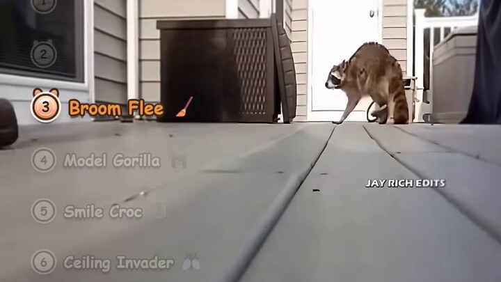 Wildlife Caught ON CAMERA: Gorilla Approach, Capybara Ride & More