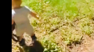 Kali kedua saya melempar sesuatu, kulit kepala orang dan anjing terasa geli.