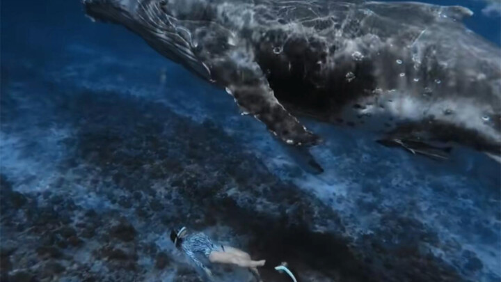 How can I explain this to the younger generation! The sea is blue, and we once danced under the sea!
