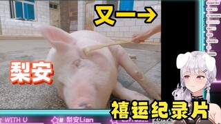 【梨安】直播看禧运楼纪录片《又一给梨安挠痒痒》