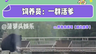 饲养员：活爹们，求放过！