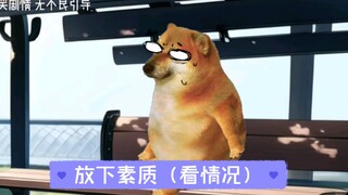 放下个人素质（看情况）