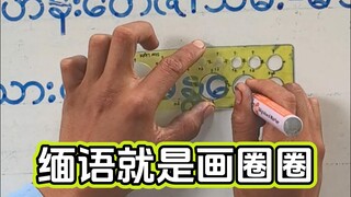 My Burmese that keeps drawing circles