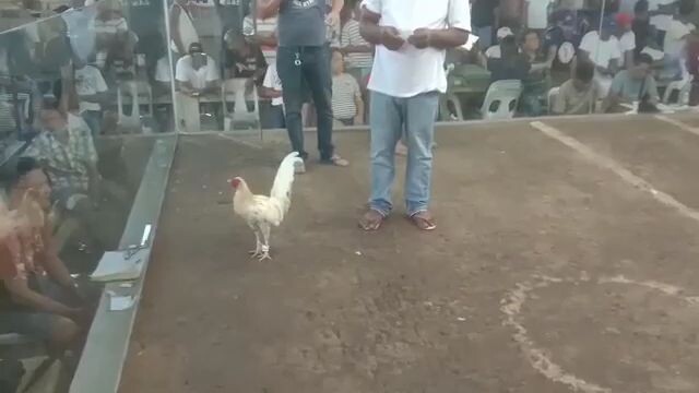 Hindi na naman nagsugat