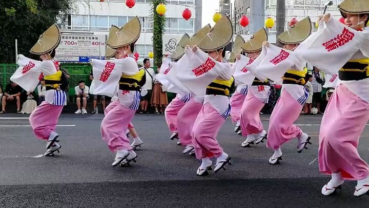 Awa dance in Tokushima, Japan, watch the parade of Japanese people live