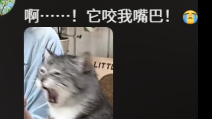 Mi: Oh my god, boiling, boiling, boiling!