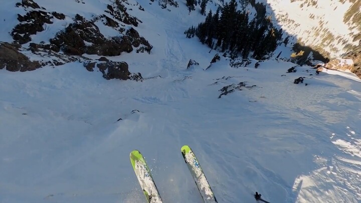 คำว่า “อิสระ” กลับเต็มไปด้วยข้อจำกัด ส่วนคำว่า “กรงขัง” กลับเปิดกว้างทุกทิศทาง