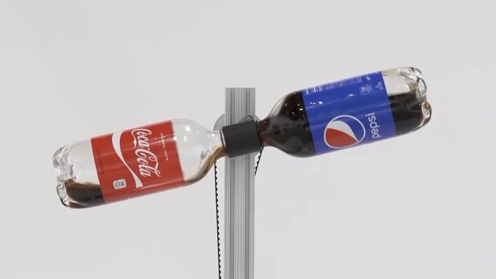 "Hybrid Assimilation" Art Installation