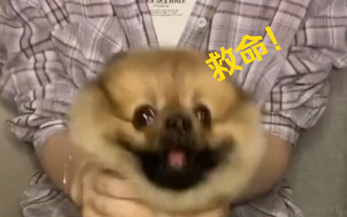 Here’s the “Shoot, Grab, and Share” clip you’ve been asking for!