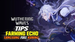 Cara Paling Cepat Untuk Spam Echo Atau Farming Echo - Wuthering Waves