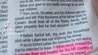 Daily Verse.                            Genesis 31:19-21