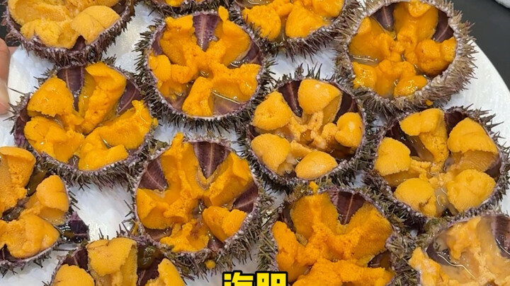 Orang Manchuria pertama kali mengolah sendiri 1 kilogram bulu babi kotoran kuda di rumah, sampai keb