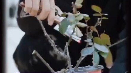 Wow, this is the gap between me and the top student—I hadn’t even processed it yet, and Li Gengyun h