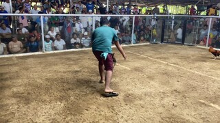Win