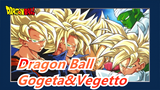 Dragon Ball|There is a kind of invincible called Gogeta|There is a strongest called Vegetto