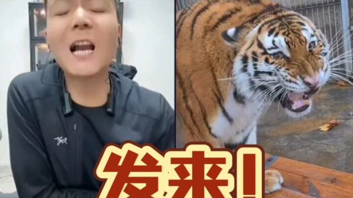 Pan Hong: It’s just a golden tabby, congratulations on joining the team!