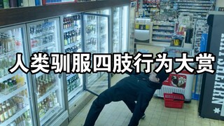 “人类驯服野生四肢行为大赏”