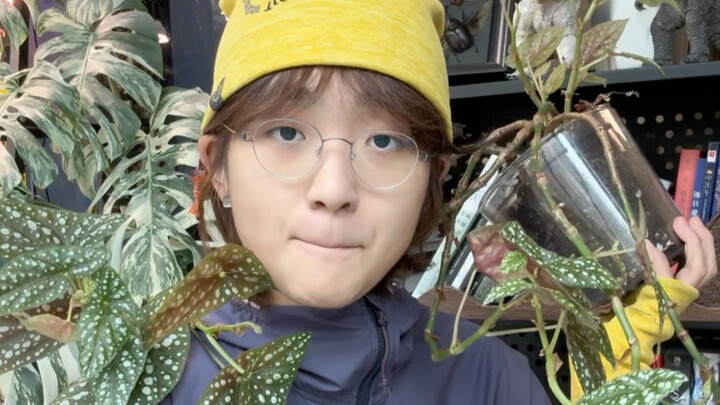 Setelah tubuh dipotong-potong menjadi lima bagian, potongan mayat masih bisa terus tumbuh