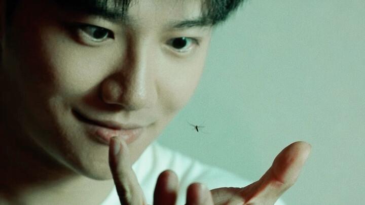 How to Keep Mosquitoes Away from You