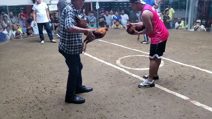 7 years gold nanalo pa. 4x na.