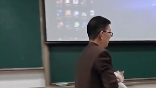 แมวอาวุโส