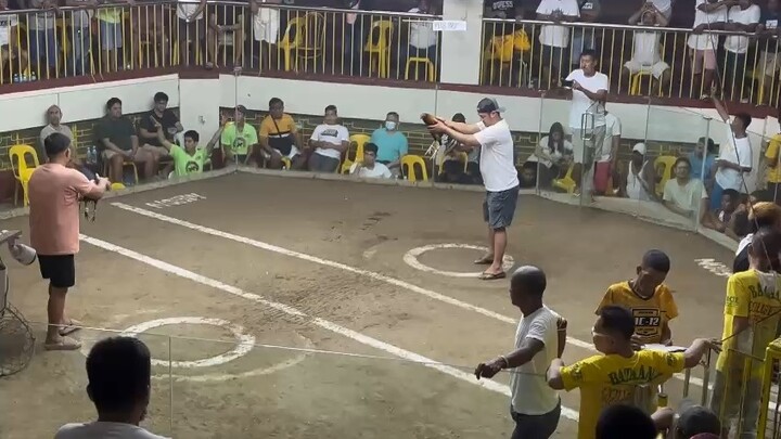 Pits19