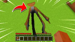 Whats INSIDE THIS SECRET HUGGY WUGGY POPPY PLAYTIME HOLE?(Ps5/XboxSeriesS/PS4/XboxOne/PE/MCPE)