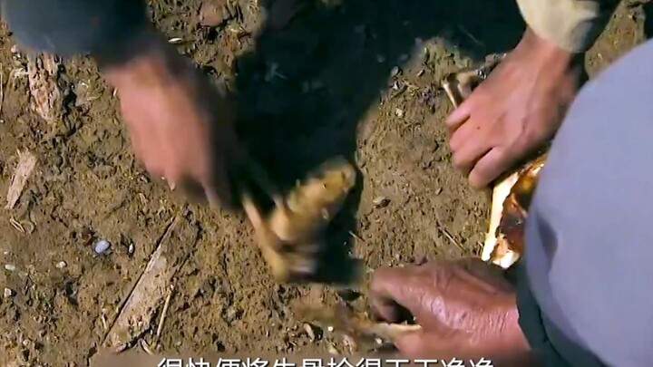 เจ้าหน้าที่กินวัวไถนาของชาวบ้านไป แต่ไม่คาดคิดว่ากระดูกวัวจะถูกชาวบ้านผู้หิวโหยแย่งชิงจนเกลี้ยงในพริ