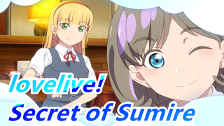lovelive!|[Keke&Sumire] Secret of Sumire.MP3