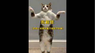 Tutorial on how to make cats dance is here!