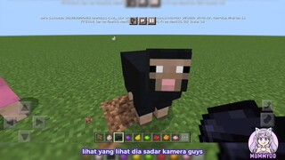 BUAT KAMBING WARNA-WARNI🏳️‍🌈 Minecraft Indonesia - Mummyoo