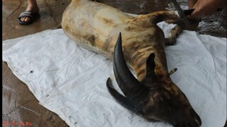 Cỗ Thịt Dê Của Dân Tộc Thái  Tây Bắc  | Đổ Sàn Nhà | Dân Tộc Tây Bắc