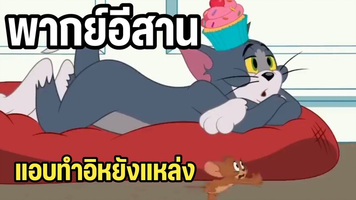 ทอมแอนด์เจอร์รี่ พากย์อีสาน ลักหลับกินขนม