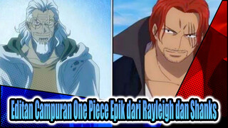 Pertempuran Raja | One Piece