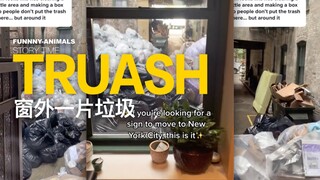 搬来新家，结果被中介坑了