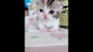 น่ารัก