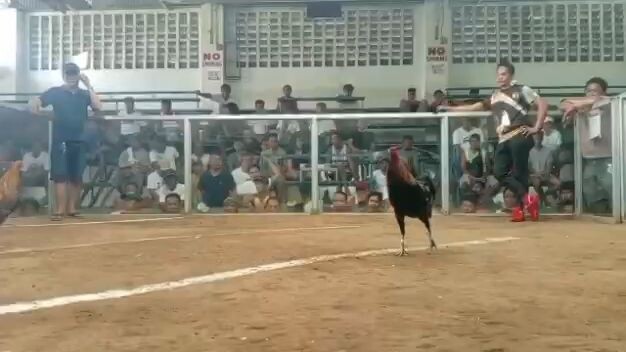 1st fight loss San Miguel Bulacan