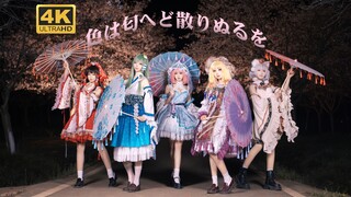 绝美夜樱色散！东方人听到都哭了！