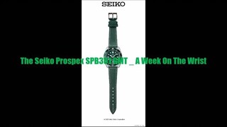 The Seiko Prospex SPB381 GMT _ A Week On The Wrist