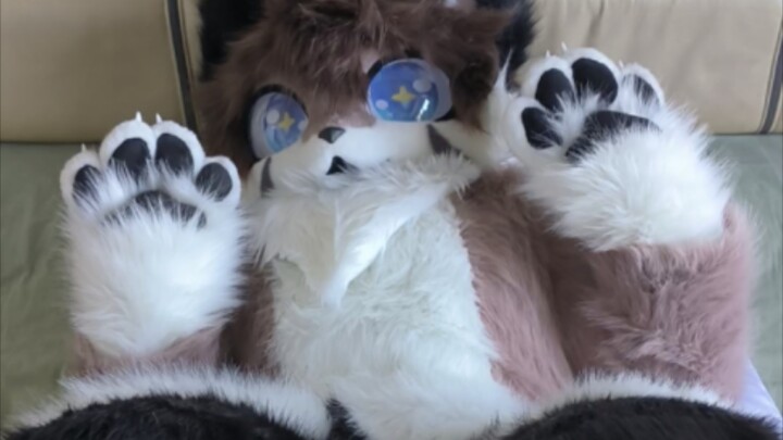 What should I do about this newly arrived fursona who’s way too enthusiastic?! Urgent!