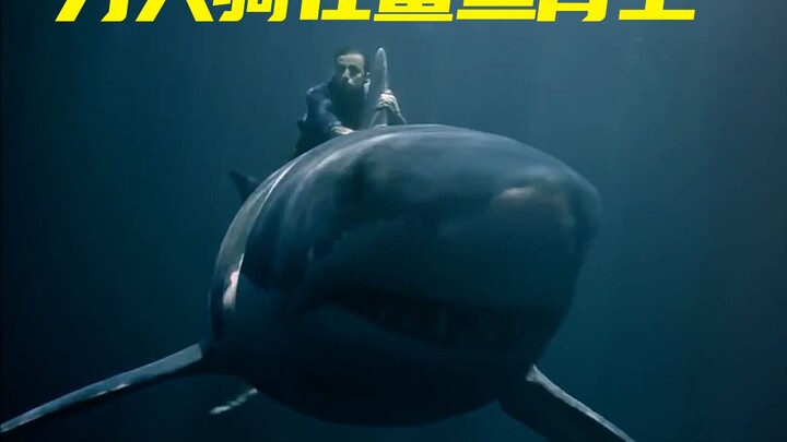 Pria ini menunggangi punggung hiu, langsung membuat hiu melompat ke darat, film pendek