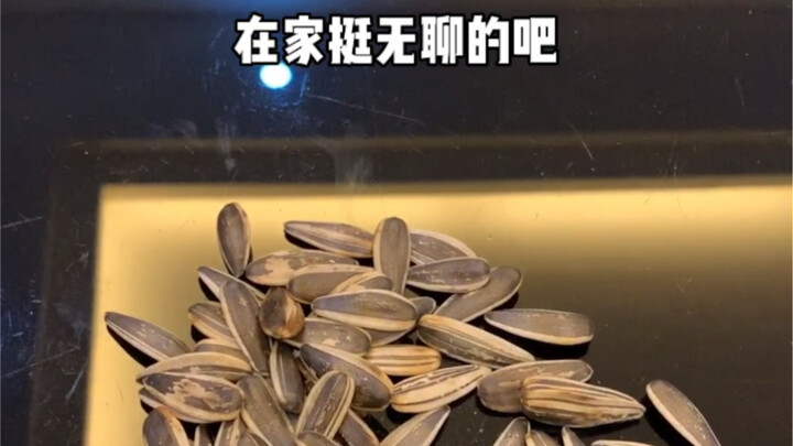 Dạo này ở nhà, tôi chẳng hề buồn chán chút nào, chẳng hề buồn chán đâu