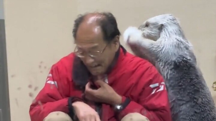 Sea otters have the densest fur in the animal kingdom and can float on the water’s surface from the 
