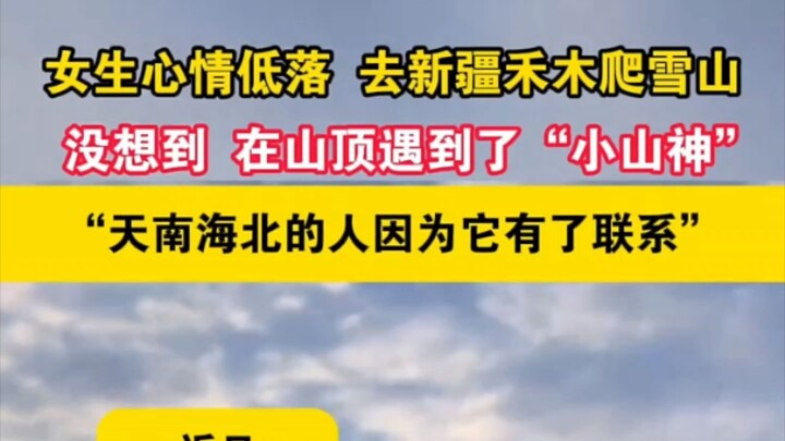สาวอารมณ์ตก ไปปีนภูเขาหิมะที่เหอมู่ซินเจียง ไม่คาดคิดว่าบนยอดเขากลับได้พบ “เทพภูเขาตัวน้อย” คนจากทั่