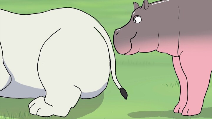[Animals] Hippopotamus Provoking A Rhinosaurus