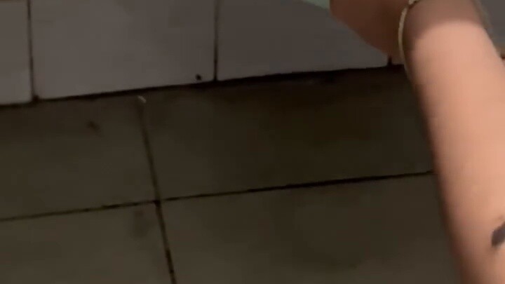 "Một cuốn sách tranh về thời kỳ khó khăn của sinh viên đại học đương đại: Salamander"