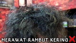 cara mengatasi rambut kering | pada pria