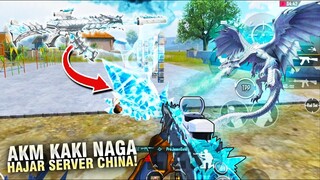 SAYA MASUK DI SERVER CHINA? LANGSUNG PAMERIN AKM NAGA! - PUBG MOBILE