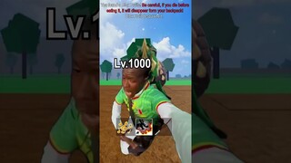 Be Carefull #bloxfruits #roblox #minhmama #shortvideo #funnymoments